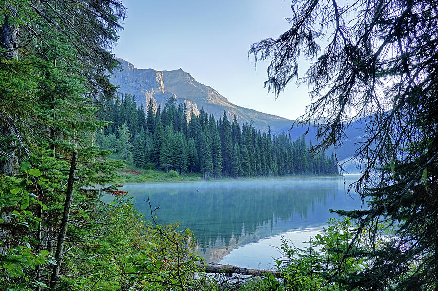 Beautiful Morning on Emerald LakevThrough the Trees Yoho National Park British Columbia Canada Photograph by Toby McGuire
