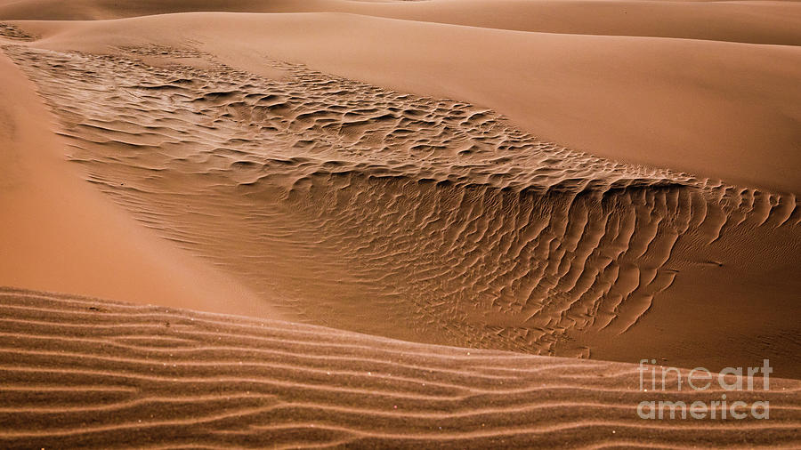 Beautiful Namib Desert Photograph by Lyl Dil Creations