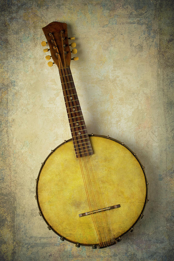 Beautiful Old Banjo Photograph by Garry Gay