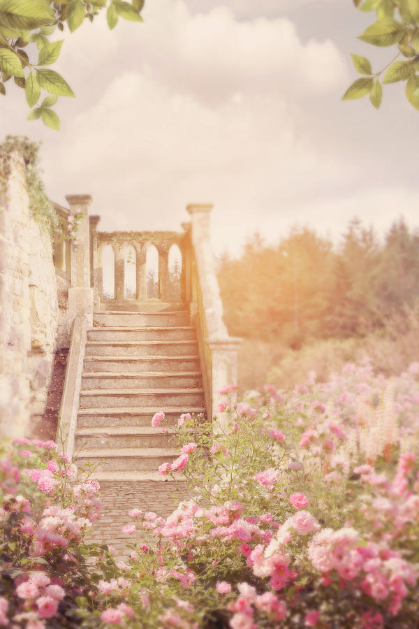 Beautiful Old Fashioned, Floral Staircase In Country Garden Grounds Photograph by Ethiriel Photography