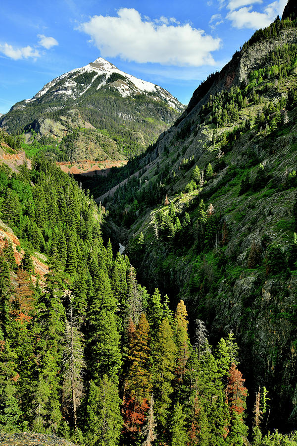 Beautiful Ouray Canyon And Highway 550 Photograph