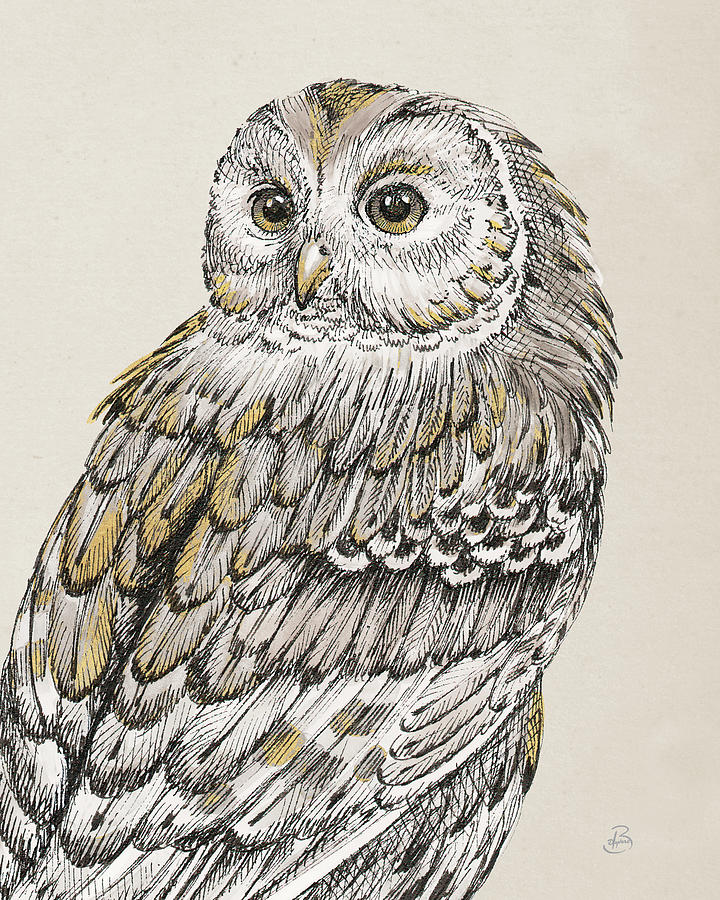 Bird Digital Art - Beautiful Owls IIi Vintage by Daphne Brissonnet