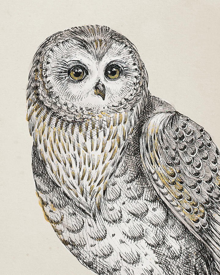 Bird Digital Art - Beautiful Owls Iv Vintage by Daphne Brissonnet