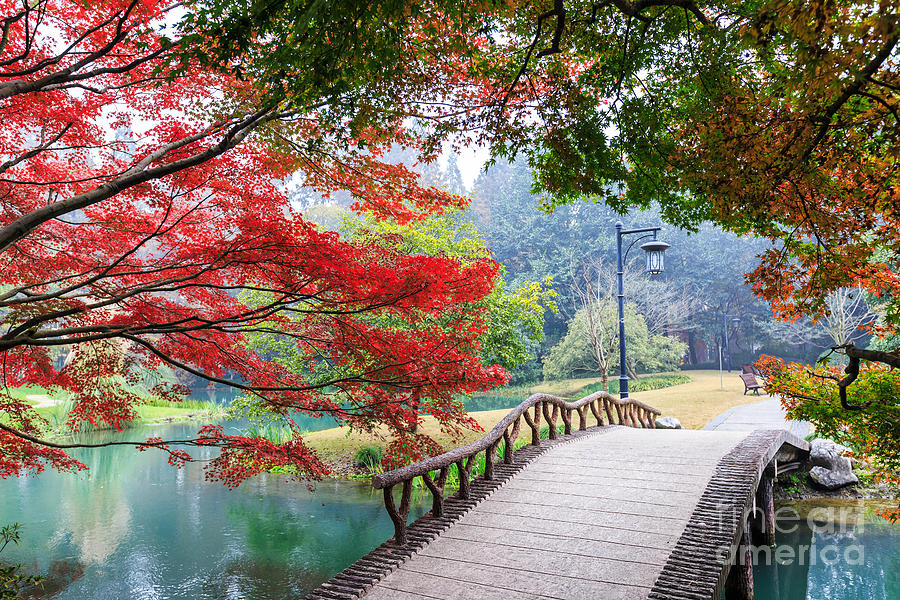 Small Photograph - Beautiful Park In Autumn by Zhao Jiankang Small Photograph - Beautiful Park In Autumn by Zhao Jiankang