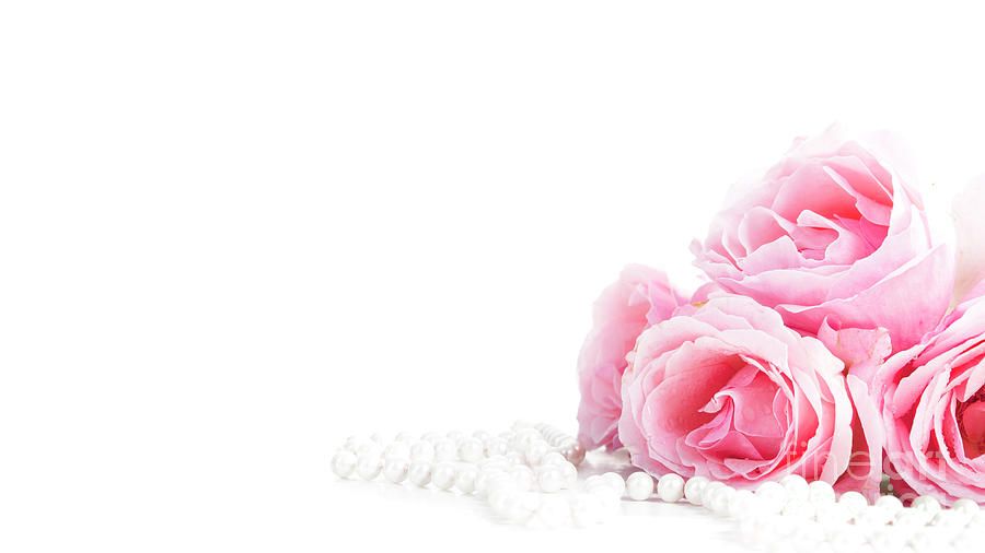 Beautiful pastel pink roses bunch and elegant bridal pearls isol Photograph by Jelena Jovanovic