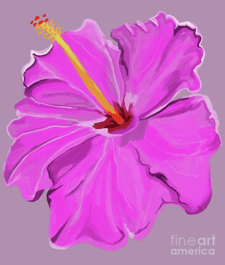 Beautiful Pink Hibiscus Digital Art by Annette M Stevenson