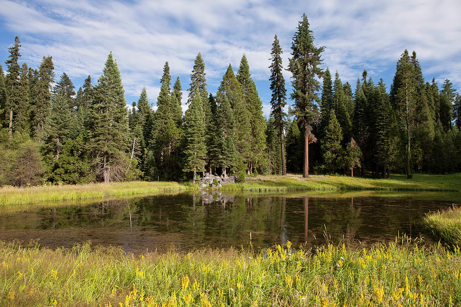 Beautiful Pond At Yosemite National Park Photograph by Miguelmalo