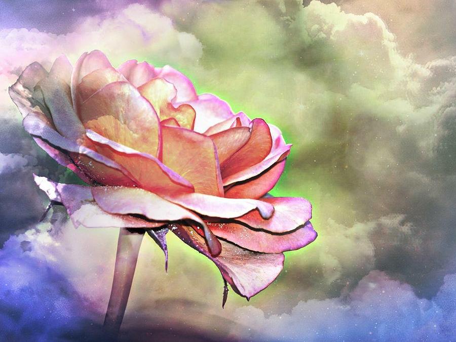 Beautiful Rose Digital Art by Ronni Dewey - Pixels