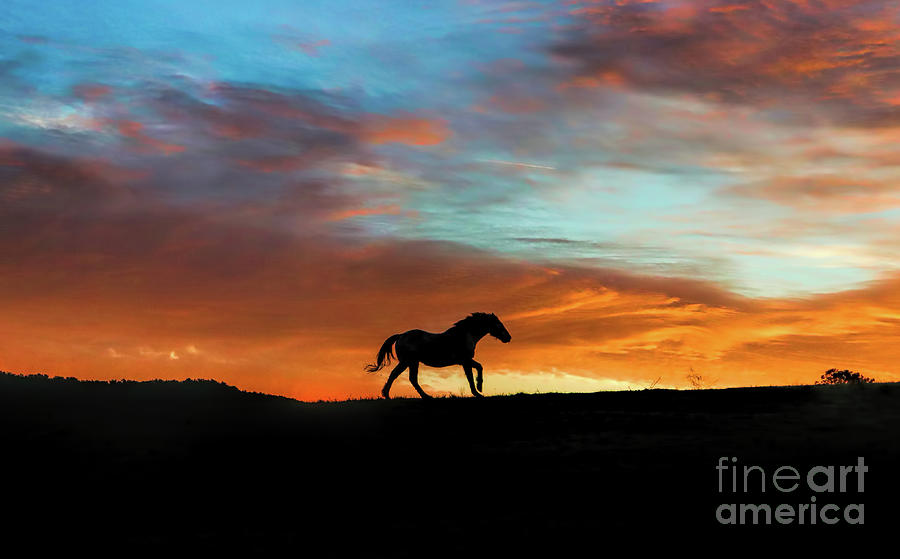 Beautiful Running Horse In A Southwestern Sunset Photograph By Stephanie Laird