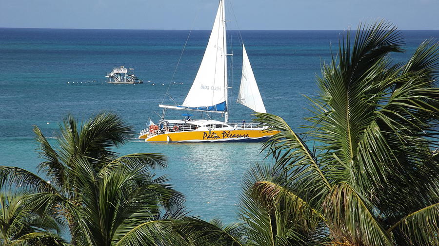 yellow bird catamaran cruise nassau