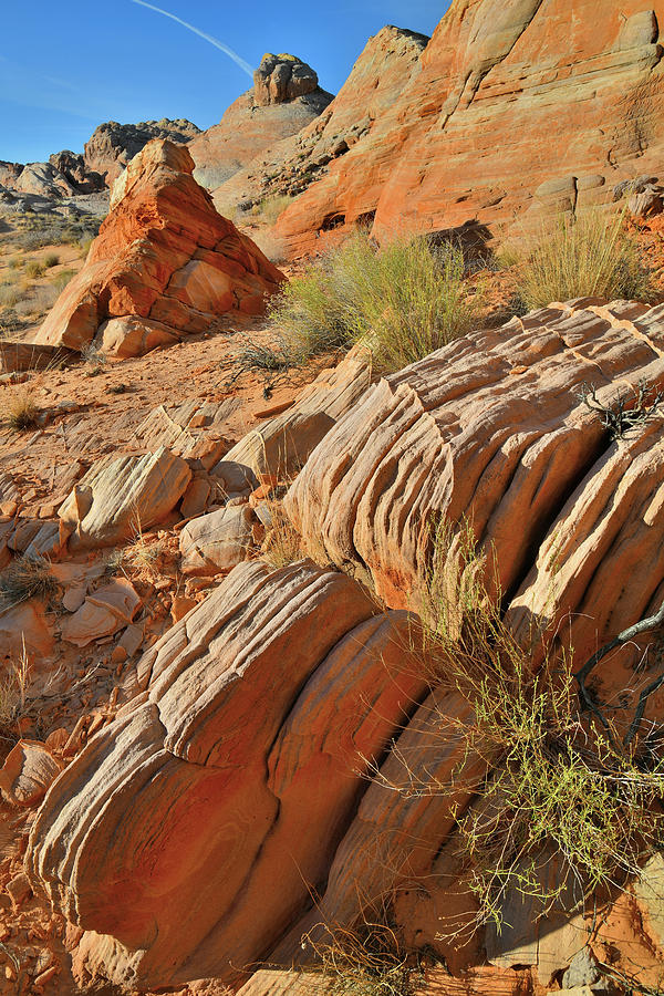 Beautiful Sandstone Cove in Valley of Fire Photograph by Ray Mathis