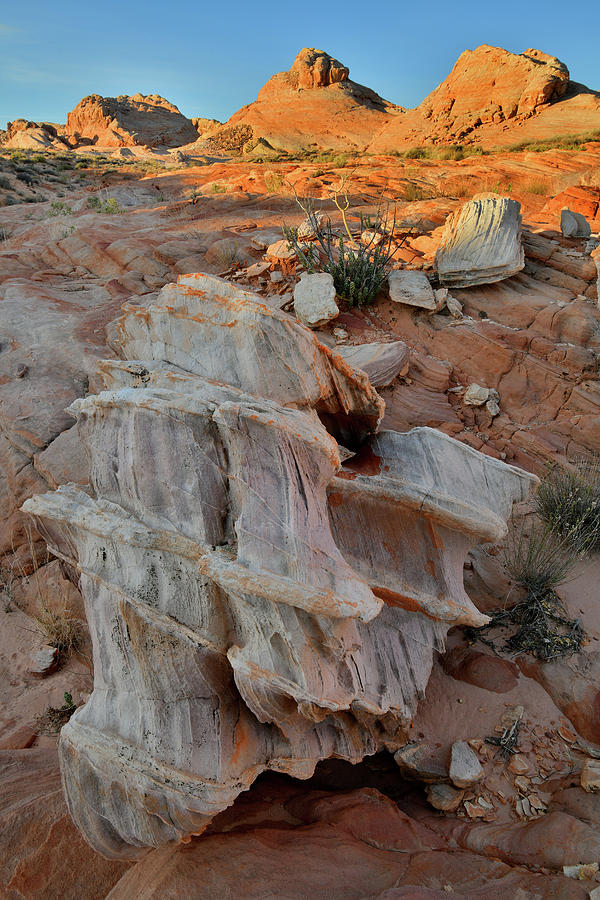 Beautiful Sandstone Formation in Valley of Fire Photograph by Ray Mathis