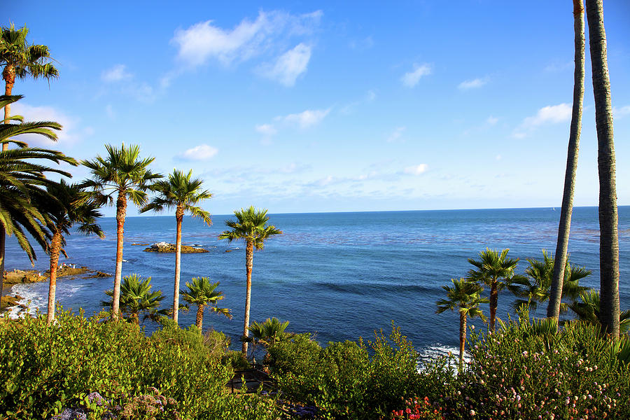 Beautiful Scenry Of Laguna Beach Photograph by Ekash