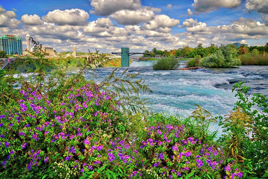 Beautiful Skies and Wildflowers at Niagara Falls Photograph by Lynn Bauer