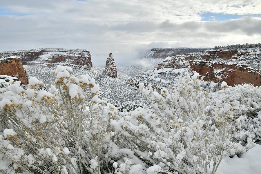 Beautiful Snow Morning along Rim Rock Drive Photograph by Ray Mathis