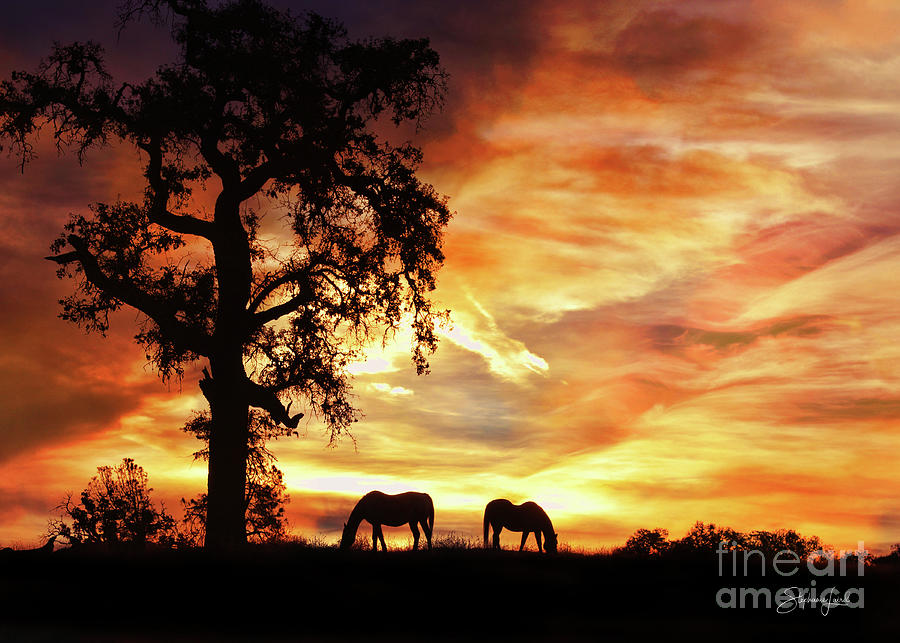 Beautiful Southwestern Sunset with Oak Tree and Horses Photograph by Stephanie Laird
