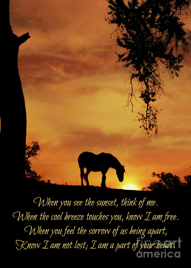 Beautiful Spiritual Horse Sympathy Poem Tribute Memorial Photograph by Stephanie Laird