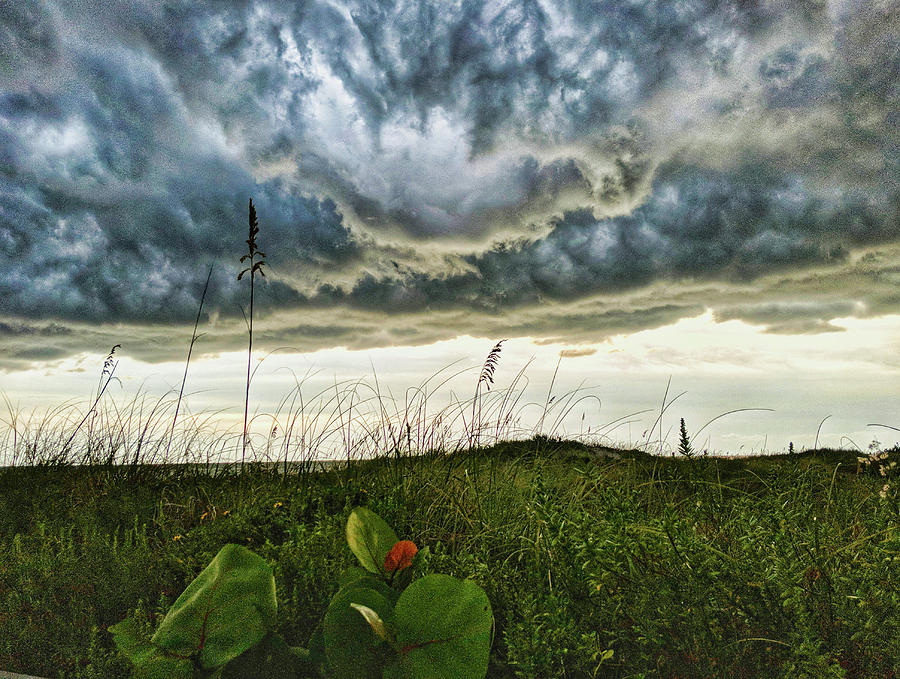 Beautiful Storm Photograph by Portia Olaughlin