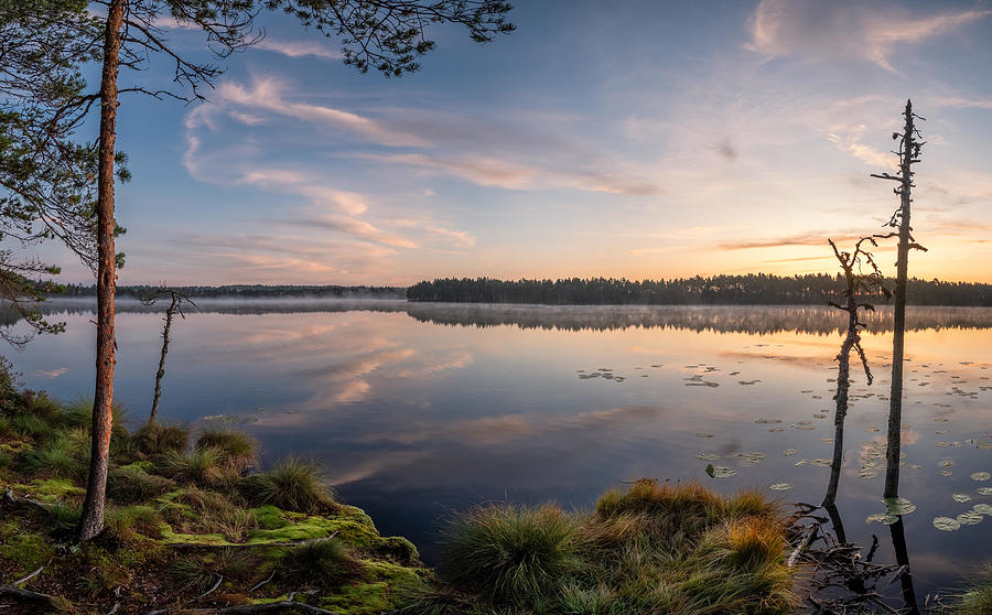 Nature Photograph - Beautiful Sunrise Landscape With Old by Jani Riekkinen