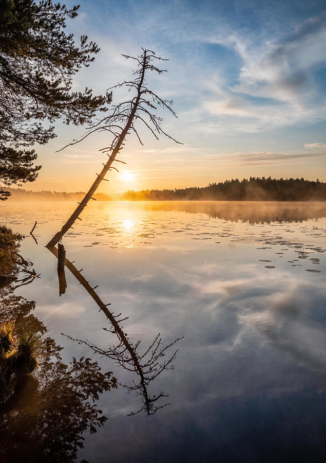 Nature Photograph - Beautiful Sunrise Landscape With Tree by Jani Riekkinen