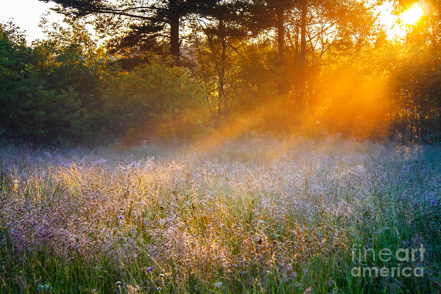 Sunshine Photograph - Beautiful Sunrise Over A Summer by Yanikap Sunshine Photograph - Beautiful Sunrise Over A Summer by Yanikap