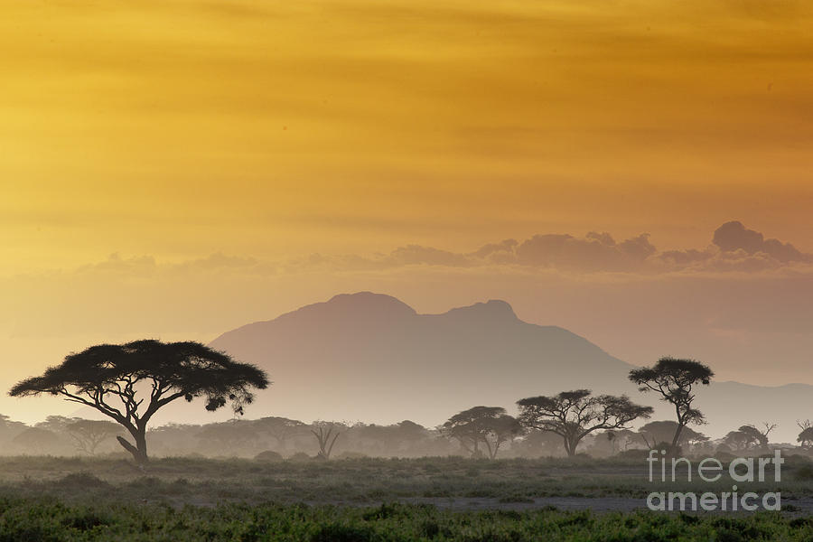 Feather Photograph - Beautiful Sunset In Kenya 03 by Andrzej Kubik Feather Photograph - Beautiful Sunset In Kenya 03 by Andrzej Kubik