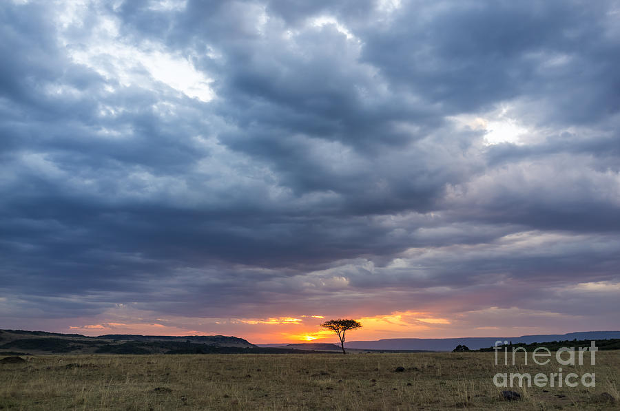 Game Photograph - Beautiful Sunset In The Savannah by Lmspencer Game Photograph - Beautiful Sunset In The Savannah by Lmspencer