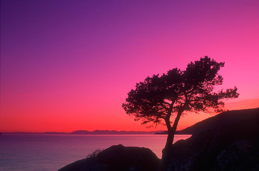 Beautiful Sunset Over The Lake Photograph by Design Pics/bilderbuch