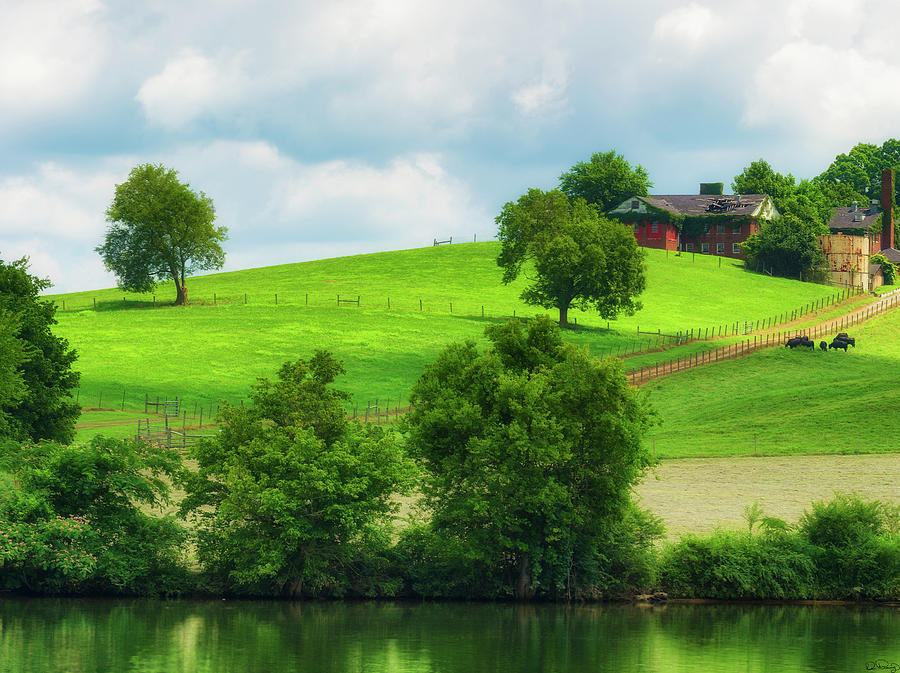 Beautiful Tennessee Countryside Photograph by Dee Browning