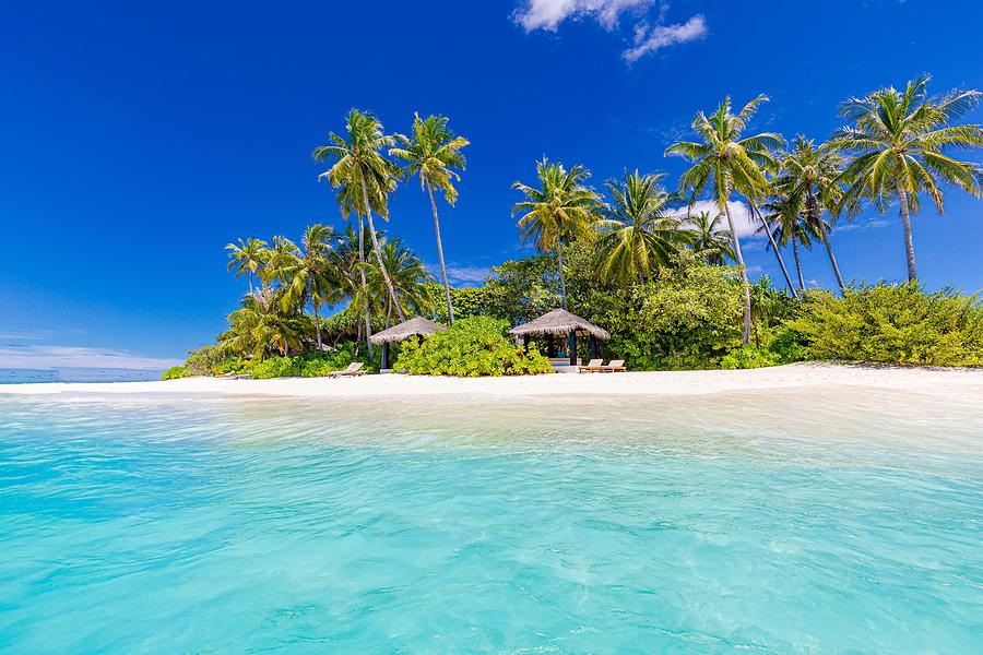 Beautiful Tropical Beach Banner. White Photograph by Levente Bodo ...