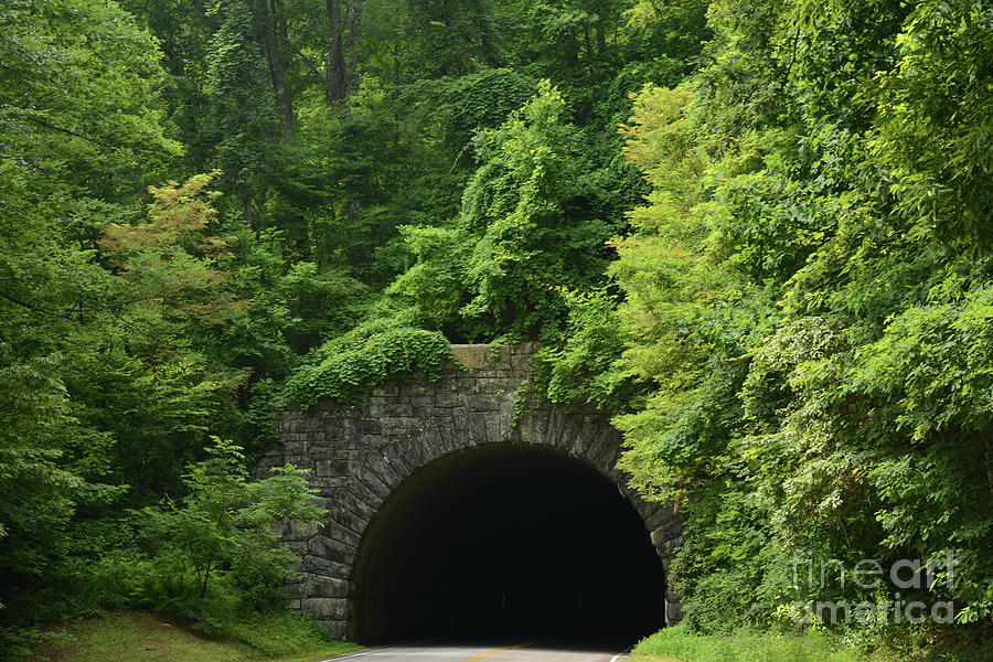 Beautiful Tunnel with Greenery, NC Photograph by Adrian De Leon Art and Photography