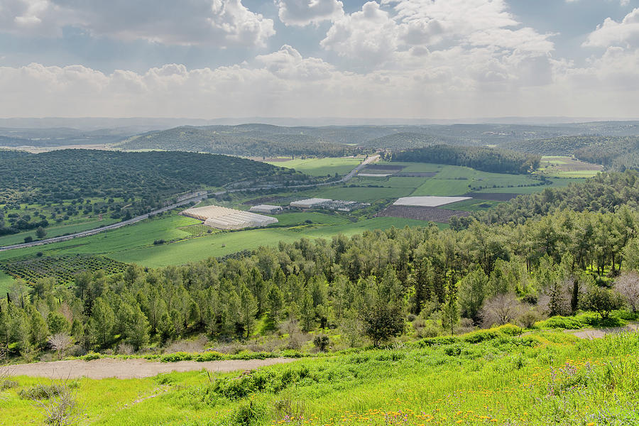 Beautiful Valley Of Elah Photograph by Morris Finkelstein | Fine Art ...