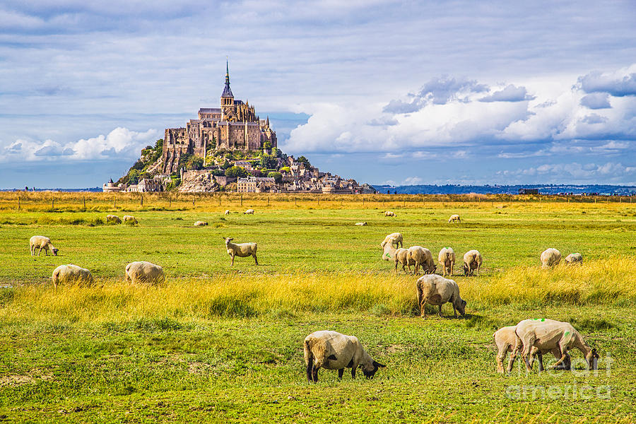 Castle Photograph - Beautiful View Of Famous Historic Le by Canadastock Castle Photograph - Beautiful View Of Famous Historic Le by Canadastock