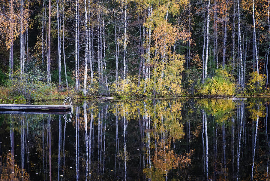 Beautiful Water Reflection View Photograph by Jani Riekkinen - Fine Art ...