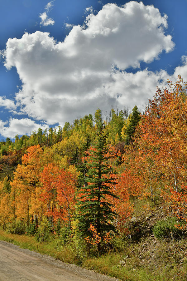 Beautiful Wilson Mesa Fall Colors Photograph by Ray Mathis