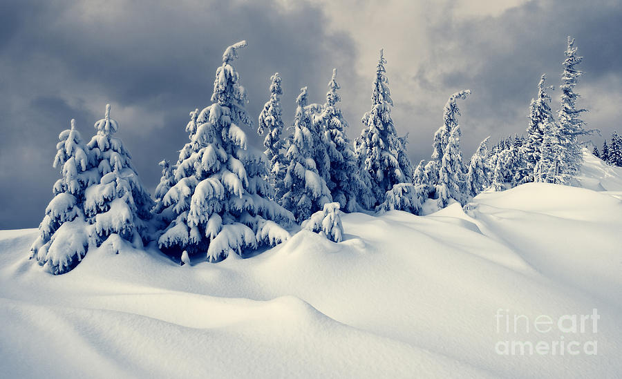 Beautiful Winter Landscape With Snow Photograph by Creative Travel Projects
