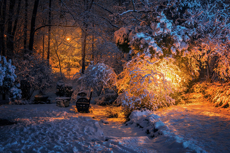 beautiful snow scenes