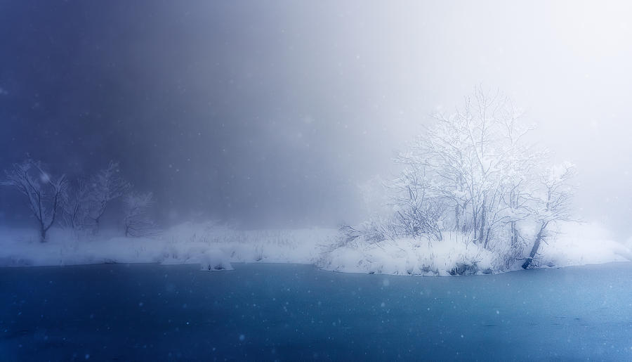 Beautiful Winter Photograph by Takeru Watanabe