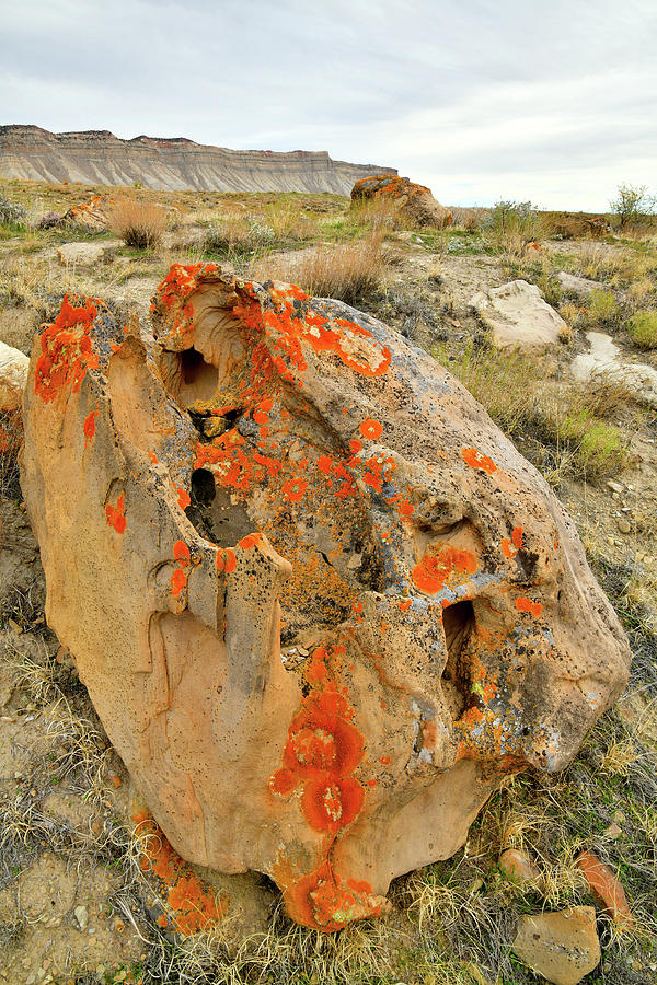 Beautifully Colored Boulder in Book Cliffs Photograph by Ray Mathis