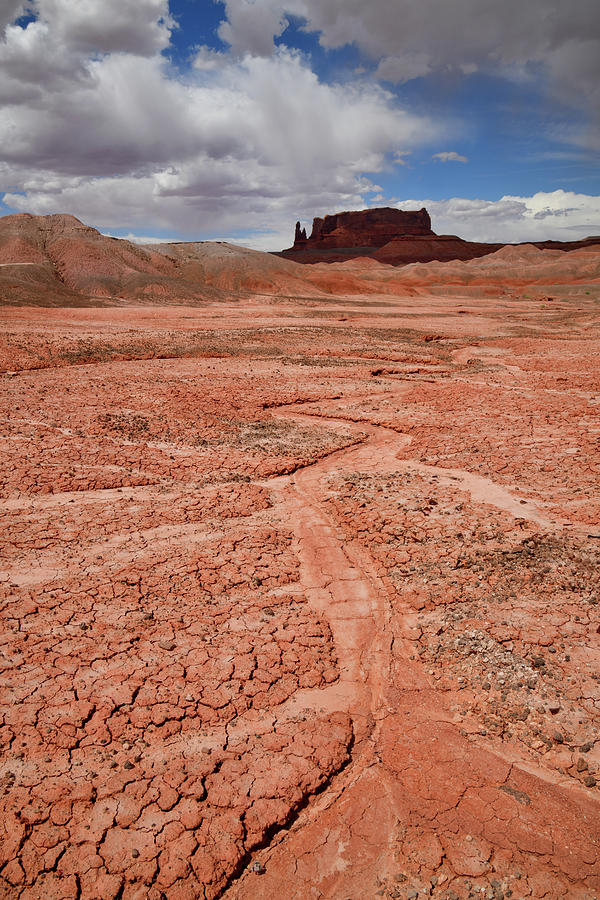 Beautifully Eroded Wash along Highway 191 in AZ Photograph by Ray Mathis