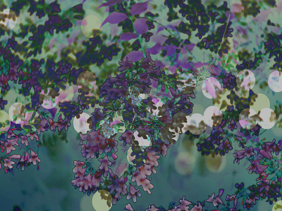 Beauty Bush Purple Abstract Photograph by Mike McBrayer