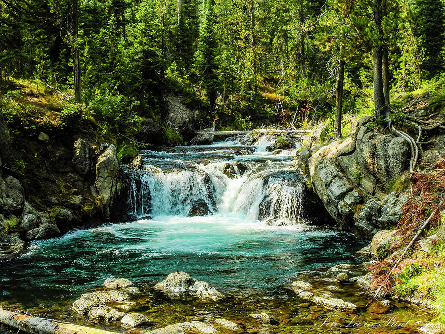 Beauty in the Backcountry by Teri Lee Beauty in the Backcountry by Teri Lee