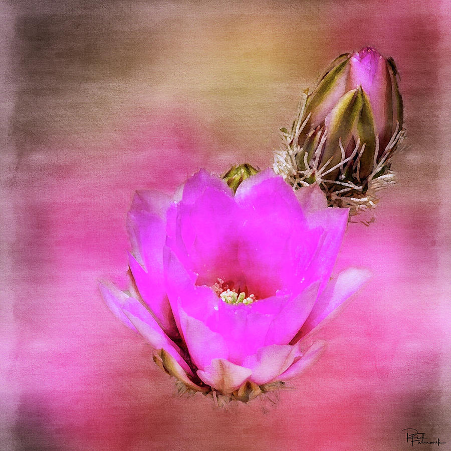 Beauty in the Details in Digital Watercolor by Rick Furmanek Beauty in the Details in Digital Watercolor by Rick Furmanek