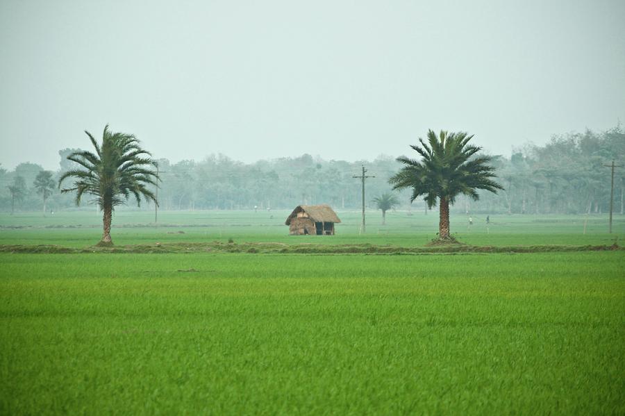 Beauty Of Bangladesh Photograph by Ashikcmc@yahoo.com