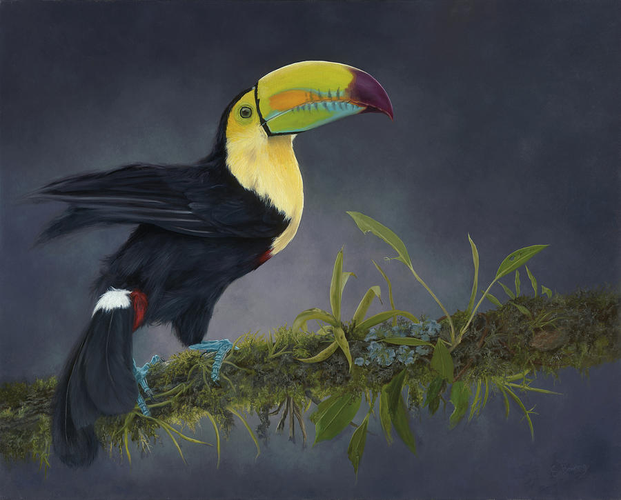 Beauty of Belize Painting by Belize Bird Rescue - Pixels