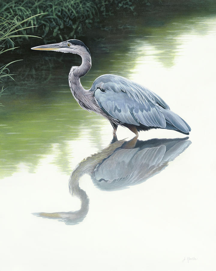 Egret Painting - Beauty Of Blue by Judith Hartke