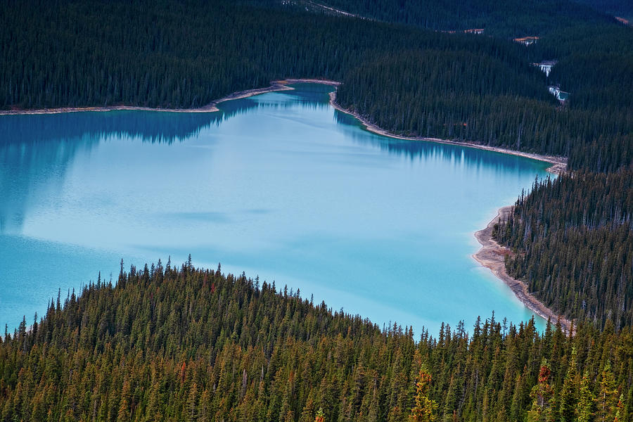 Beauty of Peyto Lake Photograph by Catherine Reading