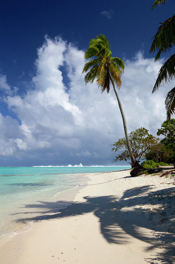 Beauty Of The Cook Islands Photograph by Simonbradfield