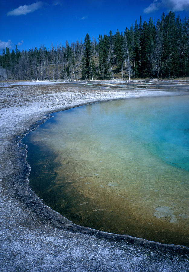 Beauty Pool, Yellowstone Photograph by David Hosking