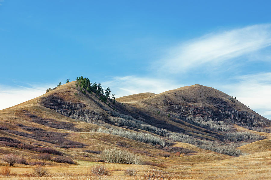Mountain Photograph - Beaver Creek Hills by Todd Klassy